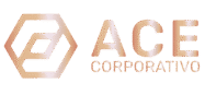 acecorporativo.com